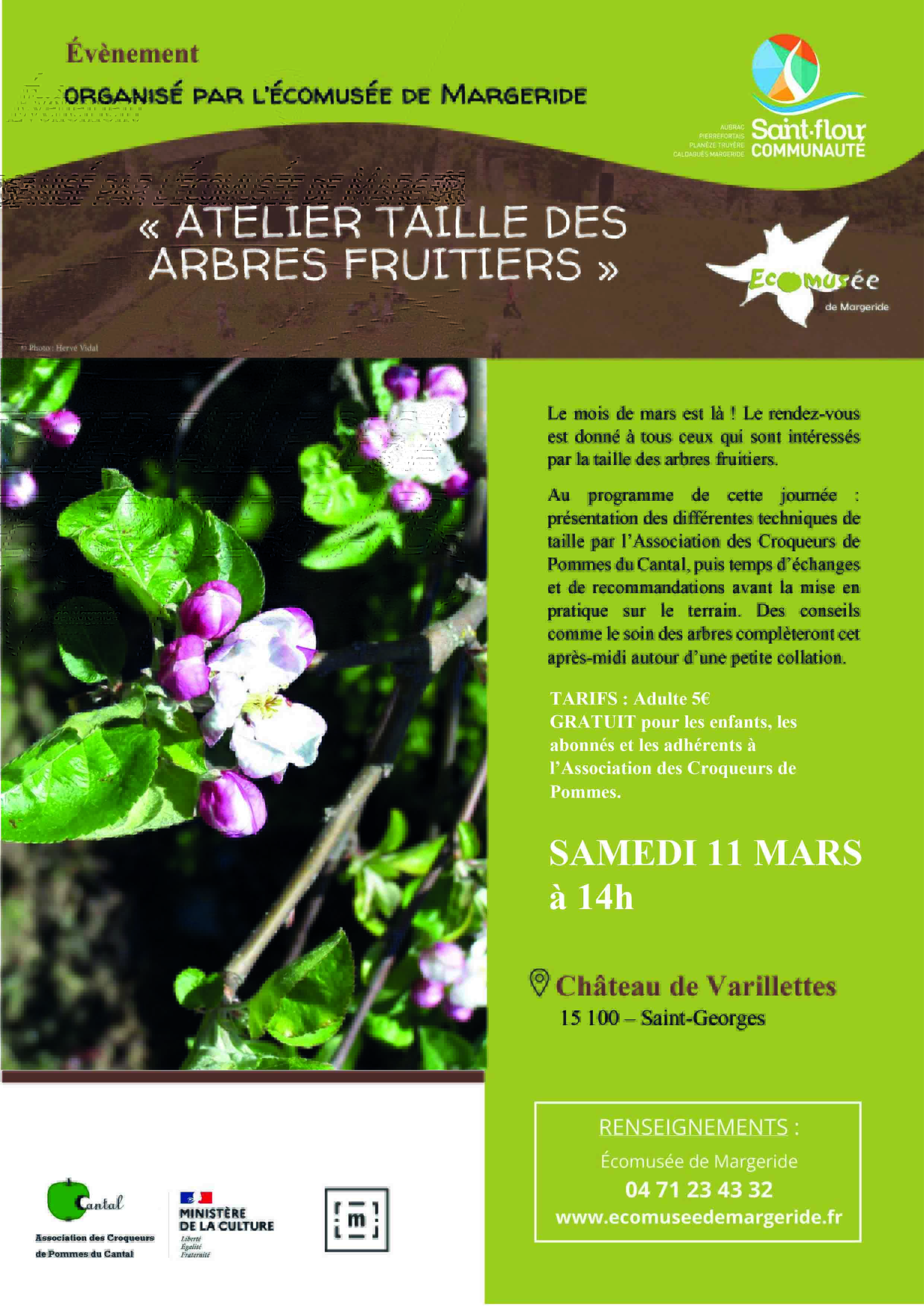 Affiche Atelier Taille